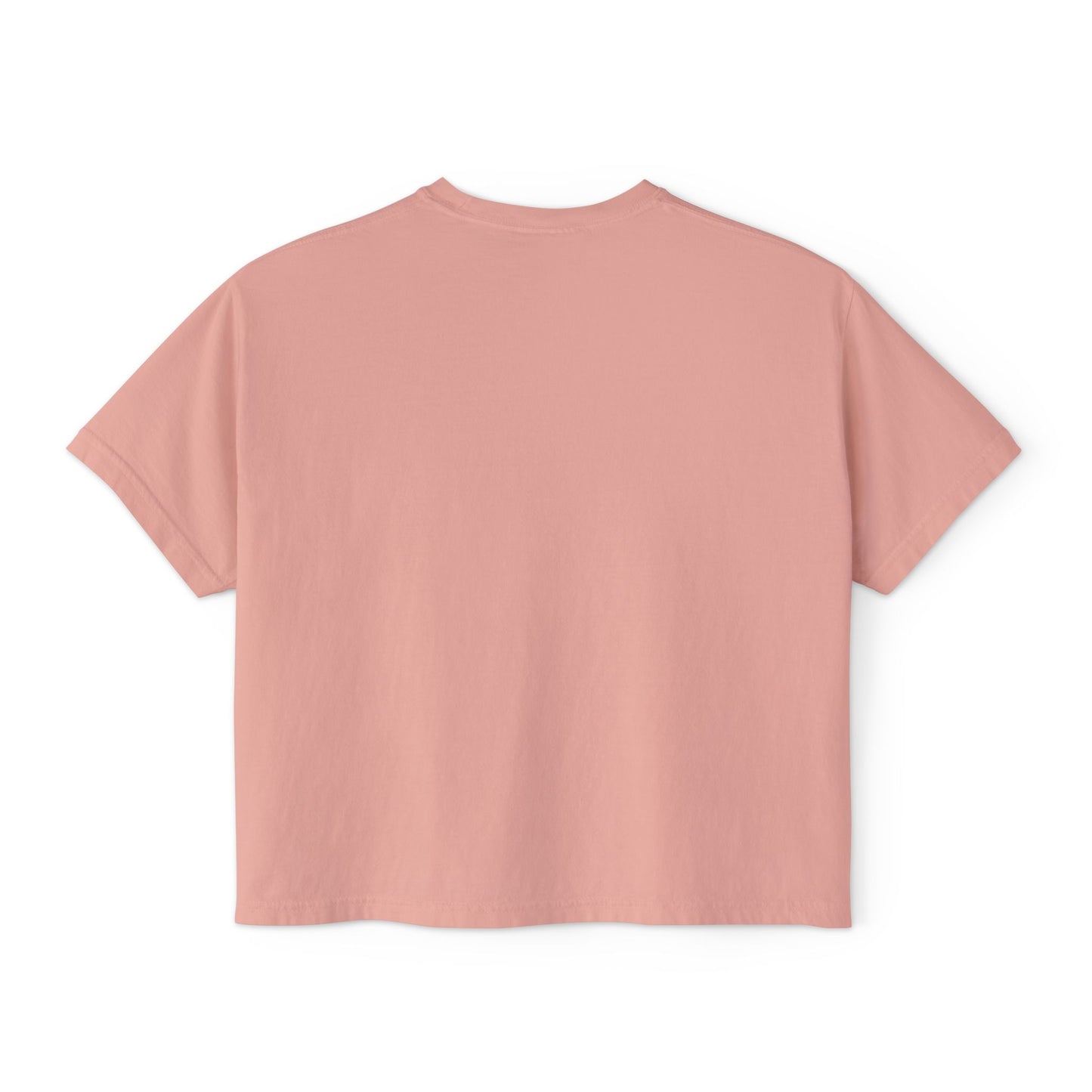 Women's Boxy Tee — 'Fredel & Spies' Retro Logo Crop Top